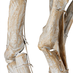 Люстра круглая в виде веток деревьев Natural Driftwood варинант исполнения - 3 | Loft Concept в Перми