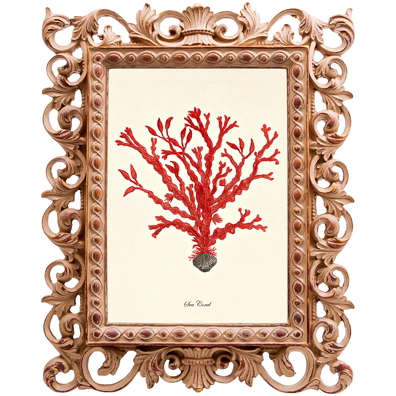 Постер Red Coral Poster 2 Бежевый Красный Постер Red Coral Poster 2 Бежевый Красный в Перми | Loft Concept