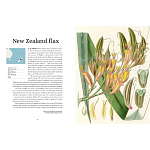 Прекрасно иллюстрированная книга более 100 ботанических произведений Plant Hunters Atlas варинант исполнения - 3 | Loft Concept в Перми