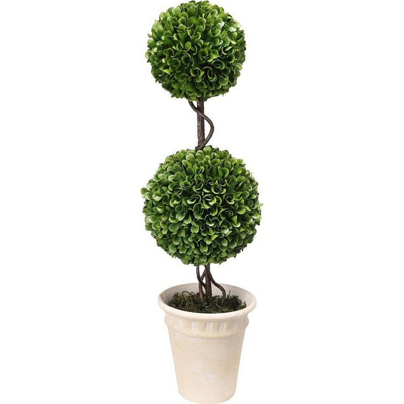 Декоративный искусственное растение Boxwood Зеленый Бежевый Коричневый Декоративный искусственное растение Boxwood Зеленый Бежевый Коричневый в Перми | Loft Concept