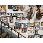 Книга Extraordinary Collections: French Interiors варинант исполнения - 11 | Loft Concept в Перми