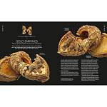 Книга Treasures of India From Antiquity to Modernity варинант исполнения - 3 | Loft Concept в Перми