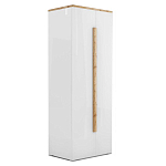 Шкаф платяной с белым глянцевым фасадом Grace of Furniture варинант исполнения - 1 | Loft Concept в Перми