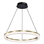 Люстра подвесная круглая светодиодная с золотым каркасом Ring Horizontal варинант исполнения - 3 | Loft Concept в Перми