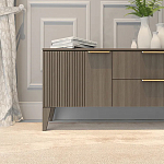 ТВ-тумба с 2-мя ящиками и дверцами Harper Line варинант исполнения - 3 | Loft Concept в Перми