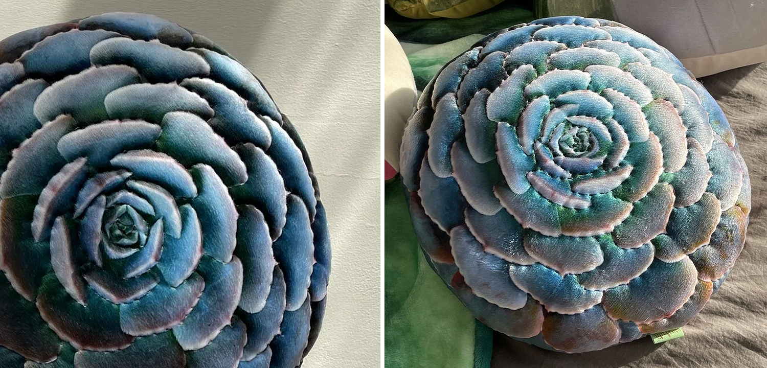 Декоративная подушка Botanical Cushion Succulentus Декоративная подушка Botanical Cushion Succulentus - Loft-Concept в Перми