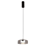 Подвесной светильник Blanton smoky 23 варинант исполнения - 2 | Loft Concept в Перми