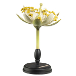 Статуэтка Tilia варинант исполнения - 2 | Loft Concept в Перми