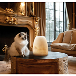 Настольная лампа в форме трапеции из натурального камня Soft Glow of Stone варинант исполнения - 5 | Loft Concept в Перми