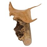 Статуэтка из дерева скат Animals of the World варинант исполнения - 2 | Loft Concept в Перми