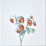 Плитка с узором Земляника варинант исполнения - 2 | Loft Concept в Перми