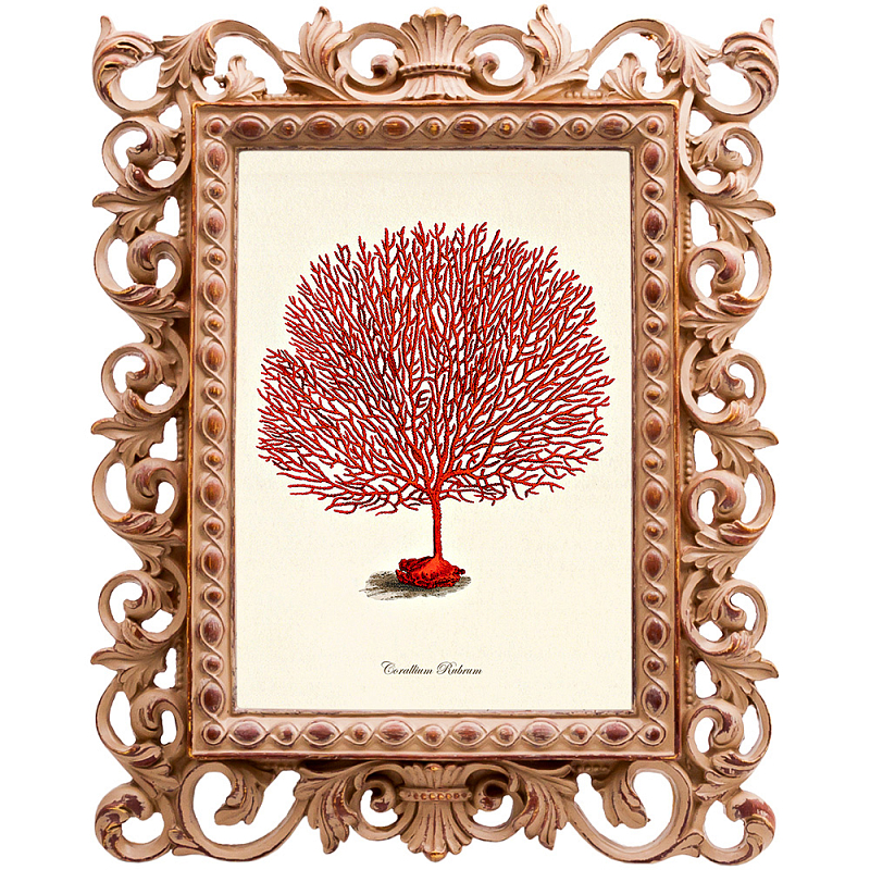 Постер Red Coral Poster 3 Бежевый Красный Постер Red Coral Poster 3 Бежевый Красный в Перми | Loft Concept