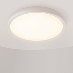 Потолочный светильник Incognito 2700-4000К 46Вт варинант исполнения - 4 | Loft Concept в Перми