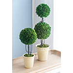 Декоративный искусственное растение Single boxwood варинант исполнения - 9 | Loft Concept в Перми