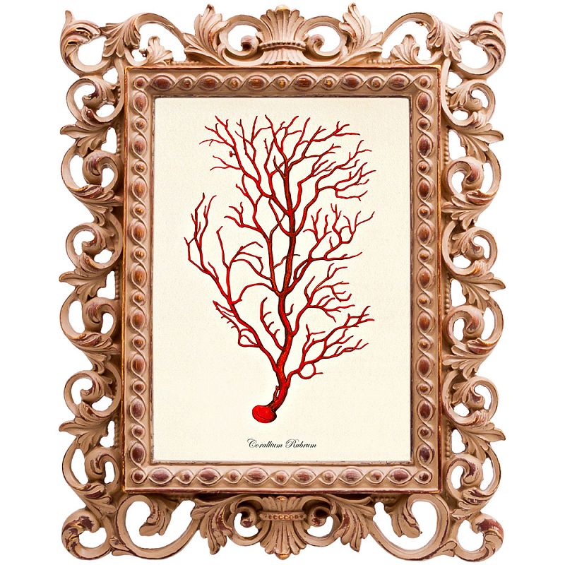 Постер Red Coral Poster 4 Бежевый Красный Постер Red Coral Poster 4 Бежевый Красный в Перми | Loft Concept