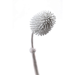 Статуэтка тропический фрукт Pandora Tropical Fruit Tall White варинант исполнения - 1 | Loft Concept в Перми