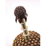 Статуэтка тропический фрукт Pandora Tropical Fruit Brown варинант исполнения - 1 | Loft Concept в Перми