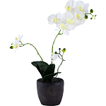 Декоративный искусственное растение Angel Orchid варинант исполнения - 1 | Loft Concept в Перми