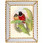 Постер с изображением птиц и цветов в зеркальной раме Blooming Birds Poster варинант исполнения - 6 | Loft Concept в Перми