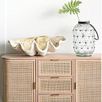 Блюдо декоративное в виде ракушки Seashell варинант исполнения - 1 | Loft Concept в Перми