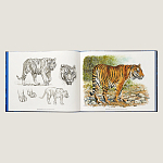 Лимитированная подарочная книга HERMES Fierce and Fragile book, English version варинант исполнения - 2 | Loft Concept в Перми