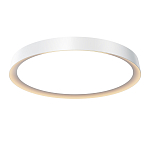 Потолочный светильник Incognito 2700-4000К 46Вт варинант исполнения - 1 | Loft Concept в Перми