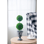 Декоративный искусственное растение Double boxwood варинант исполнения - 5 | Loft Concept в Перми