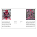 Книга Tantra: Enlightenment to Revolution варинант исполнения - 4 | Loft Concept в Перми