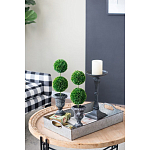 Декоративный искусственное растение Double boxwood варинант исполнения - 8 | Loft Concept в Перми