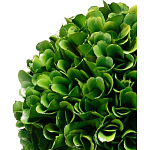 Декоративный искусственное растение Single boxwood варинант исполнения - 2 | Loft Concept в Перми
