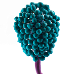 Статуэтка для интерьера фрукт Pandora Tropical Fruit 22 варинант исполнения - 2 | Loft Concept в Перми