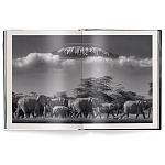 Книга Beusker. Look into my Eyes варинант исполнения - 2 | Loft Concept в Перми