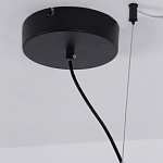 Люстра подвесная светодиодная черный металл Ring Horizontal варинант исполнения - 13 | Loft Concept в Перми