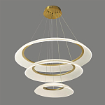 Люстра подвесная с 3-мя кольцевыми светодиодными лампами Catcher варинант исполнения - 1 | Loft Concept в Перми