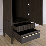 Узкий Шкаф Primo с 2 выдвижными ящиками Темный орех варинант исполнения - 5 | Loft Concept в Перми