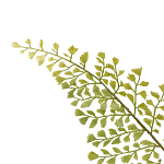 Декоративный искусственное растение Dried flower варинант исполнения - 3 | Loft Concept в Перми