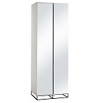 Двухдверный шкаф с зеркальными дверцами Strict Lines варинант исполнения - 5 | Loft Concept в Перми