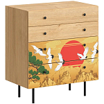 Комод с принтом на ящиках Elise Chest of Drawers варинант исполнения - 4 | Loft Concept в Перми