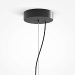 Подвесной светильник Rare grapes варинант исполнения - 4 | Loft Concept в Перми