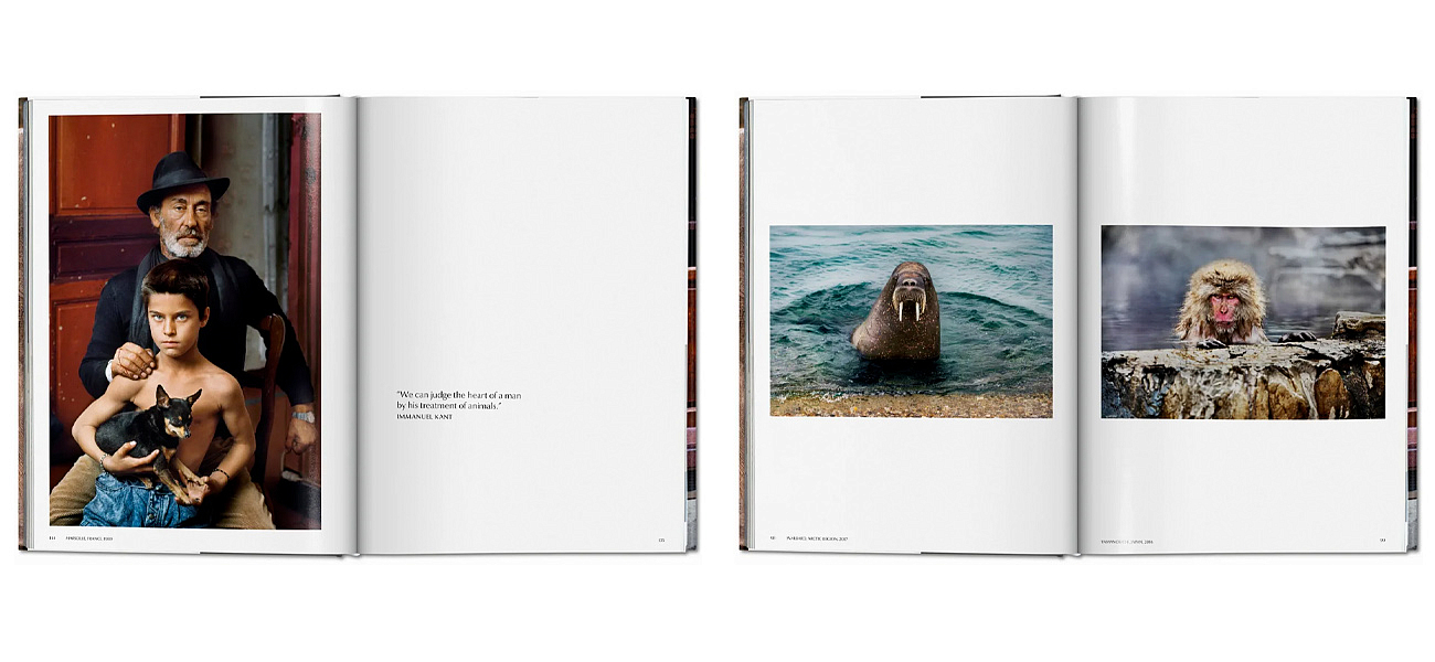 Steve McCurry. Animals Steve McCurry. Animals - Loft-Concept в Перми