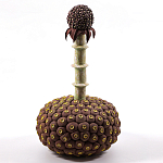 Статуэтка тропический фрукт Pandora Tropical Fruit Brown варинант исполнения - 2 | Loft Concept в Перми