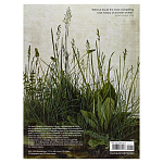 Самая полная история искусства на английском языке  A World History of Art, Revised 7th ed.: Revised 7th Edition варинант исполнения - 2 | Loft Concept в Перми