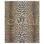 Редкое коллекционное издание Casa Cavalli Home: Celebrating the Roberto Cavalli Lifestyle Леопард варинант исполнения - 1 | Loft Concept в Перми