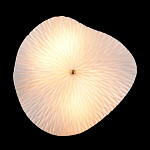 Бра в форме лепестка с рельефной текстурой FLOW варинант исполнения - 3 | Loft Concept в Перми