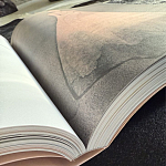 Лимитированное издание Иллюстрации модного дома Book: Dior par Mats Gustafson Vol. II Maria Grazia Chiuri варинант исполнения - 3 | Loft Concept в Перми