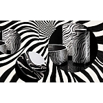 Редкое коллекционное издание Casa Cavalli Home: Celebrating the Roberto Cavalli Lifestyle Зебра варинант исполнения - 4 | Loft Concept в Перми