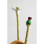 Статуэтка тропический фрукт Pandora Tropical Fruit Orange Two Flowers варинант исполнения - 2 | Loft Concept в Перми