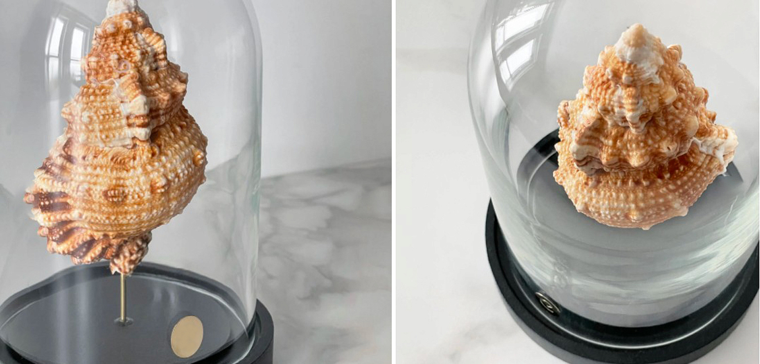 Статуэтка Bursa Rubeta Glass Cloche Статуэтка Bursa Rubeta Glass Cloche - Loft-Concept в Перми