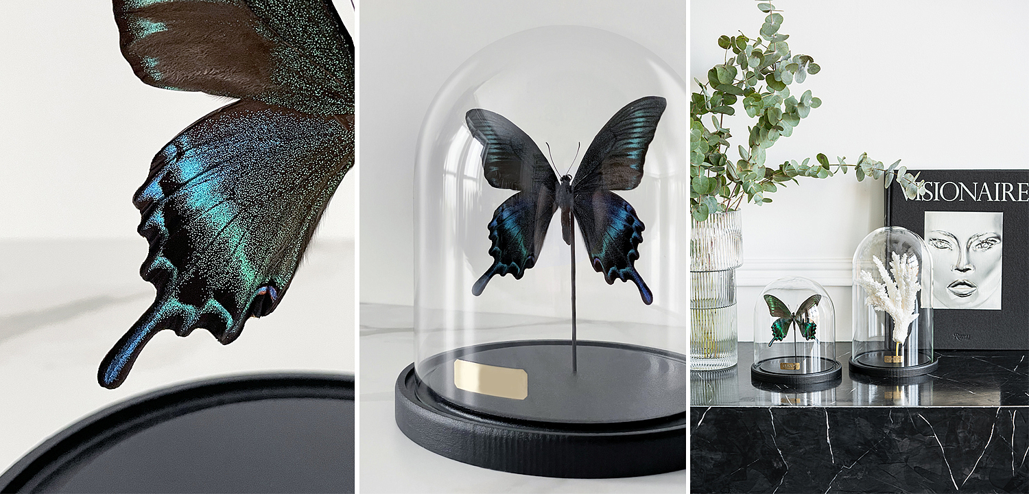 Статуэтка Butterfly Sailboat Maaka Glass Cloche Статуэтка Butterfly Sailboat Maaka Glass Cloche - Loft-Concept в Перми