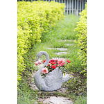 Кашпо The Proud Swan варинант исполнения - 6 | Loft Concept в Перми